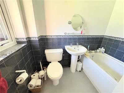 Picture 7